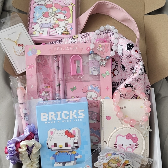 Kawaii Mystery Bundle (Sanrio Kuromi Hello kitty Capybaraetc)